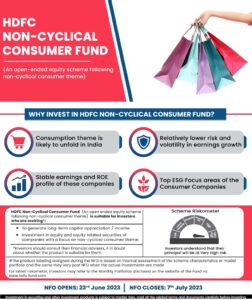 HDFC Non-Cyclical Consumer Fund